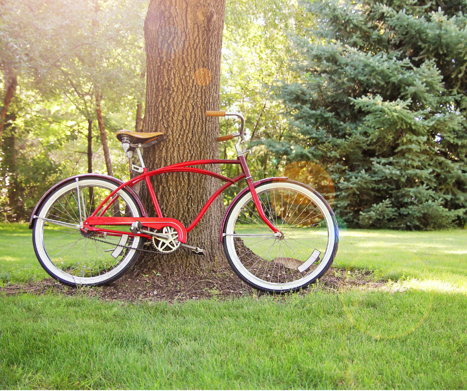 LES FRANÇAIS ET LA PRATIQUE DU VÉLO