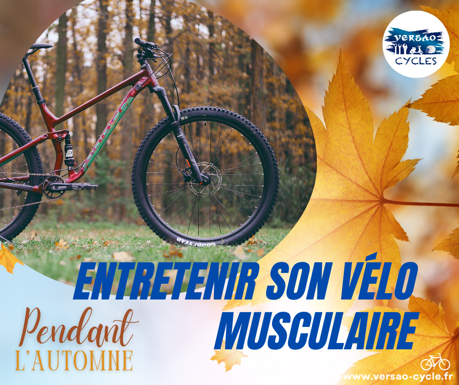 EN AUTOMNE, PRENEZ SOIN DE VOTRE VÉLO MUSCULAIRE