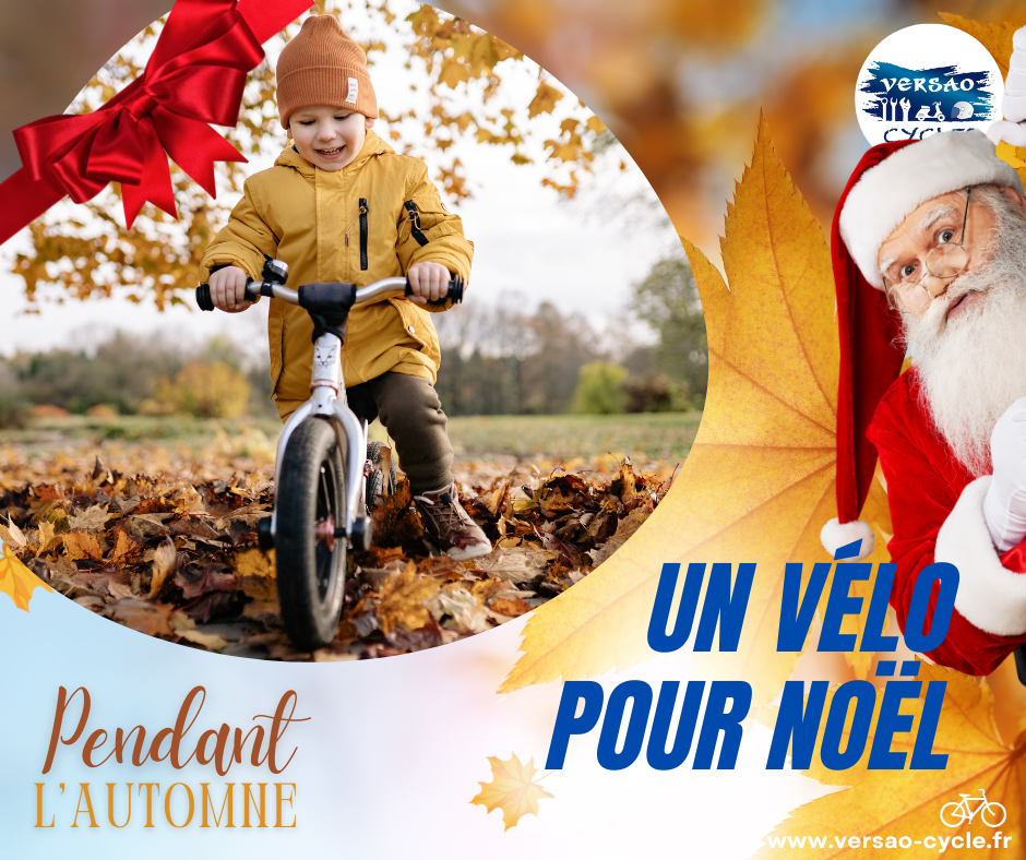 UN CADEAU SURPRENANT POUR NOËL !