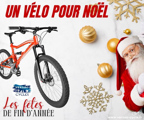 UNE IDÉE CADEAU POUR NOËL